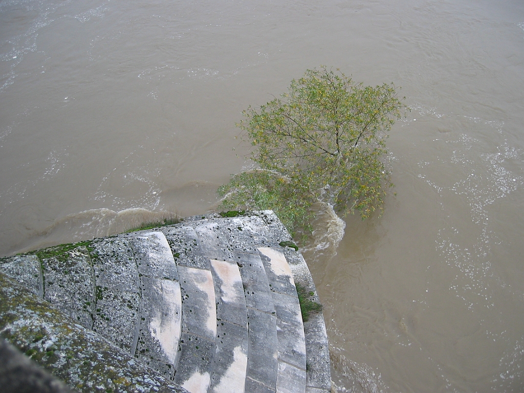 Loire en crue 14.jpg